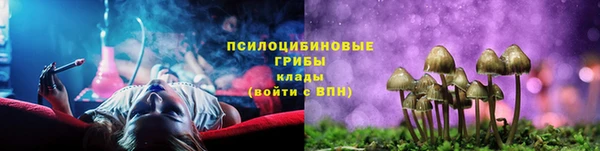 сатива Алзамай