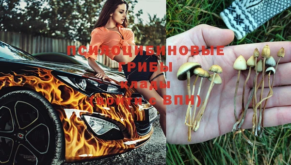 сатива Алзамай